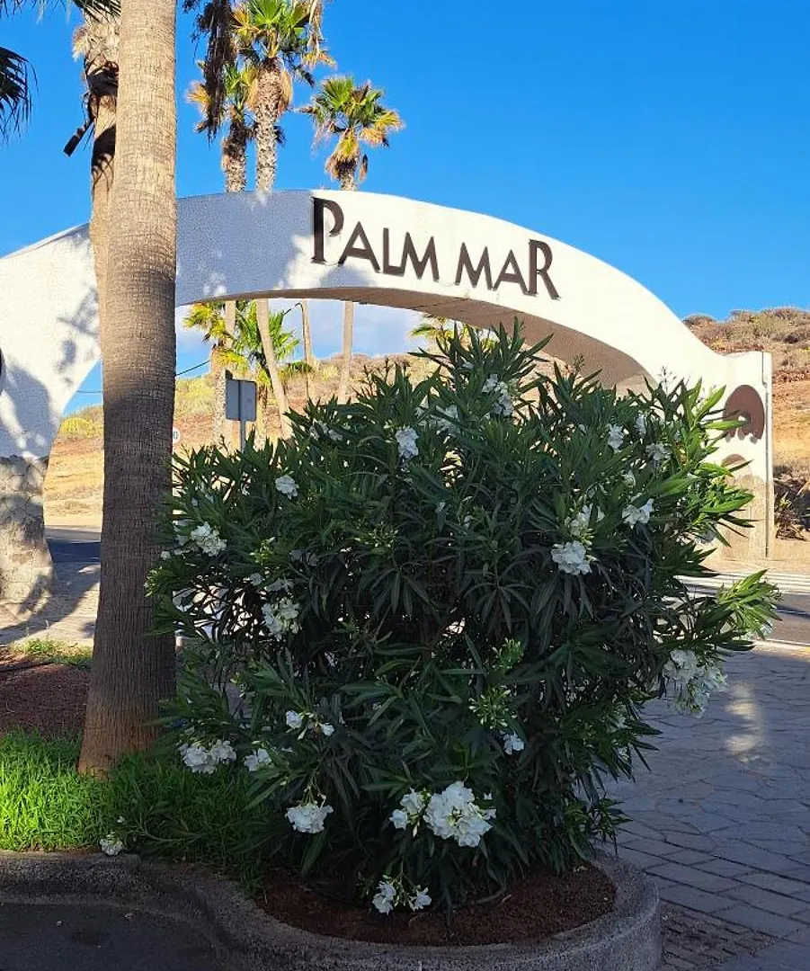 Casa Barbara Apartment Palm-mar Spain