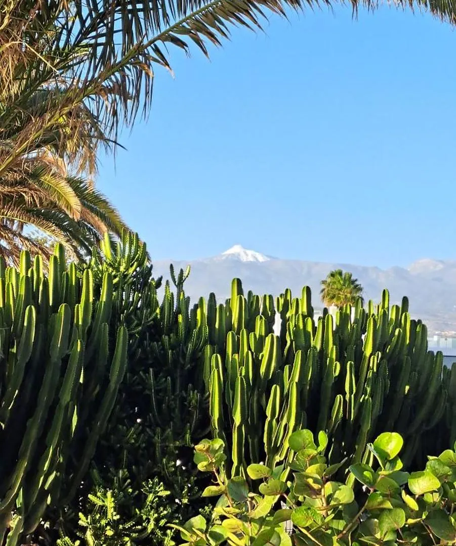 Casa Barbara Apartment Palm-mar 0*,  Spain